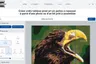 Visuel : Boutique e-commerce